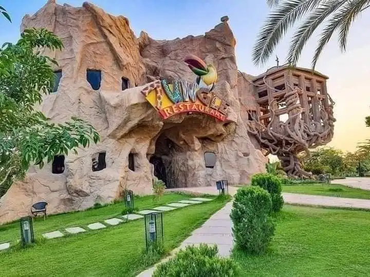 صورة 17