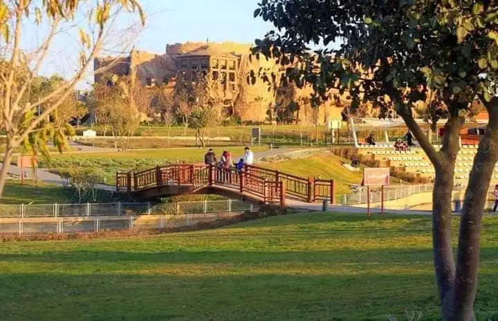 صورة 2