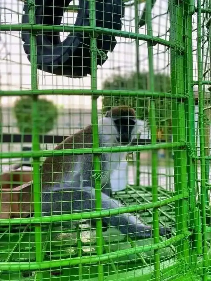 صورة 4